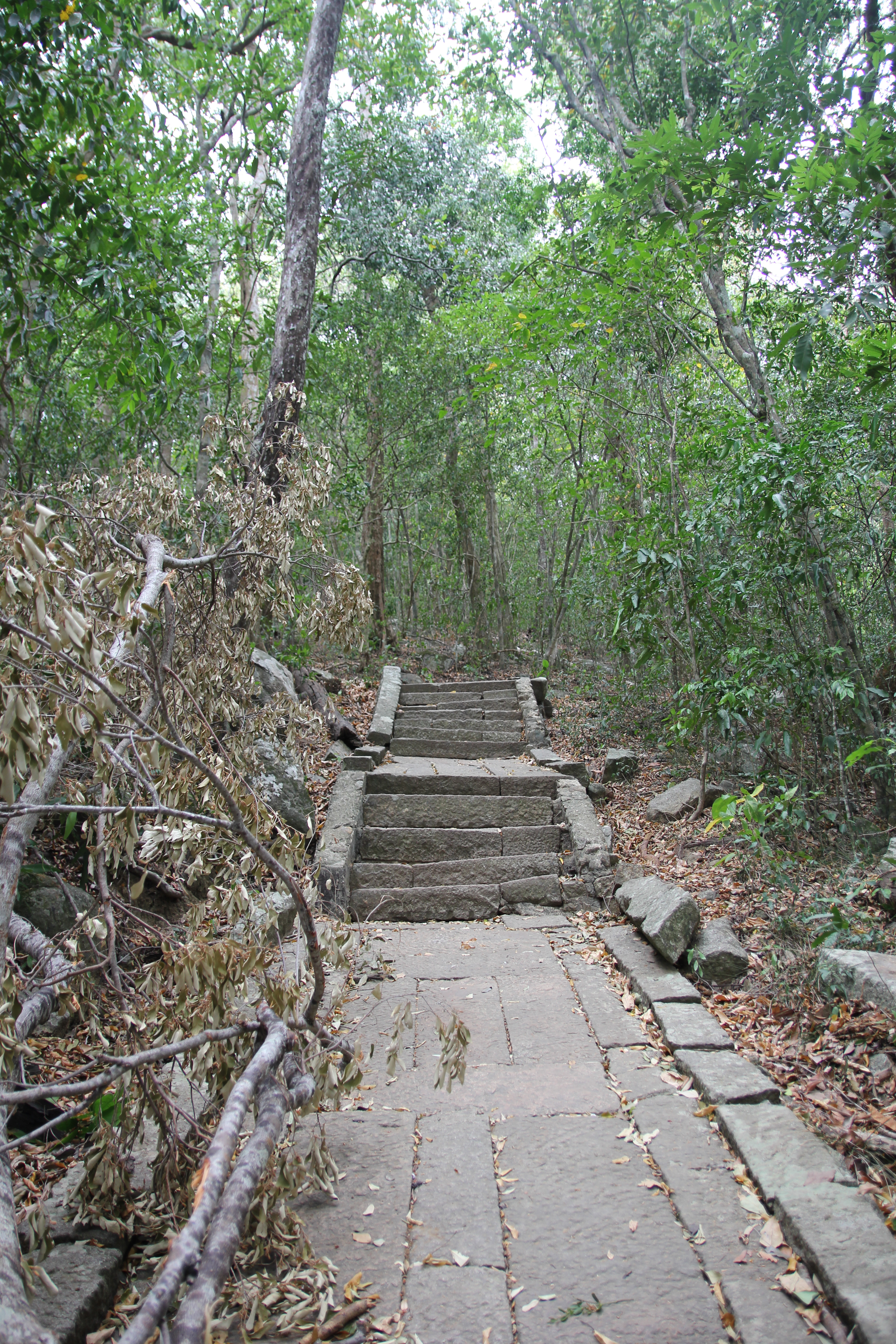 El misterioso templo en la jungla de Ritigala
