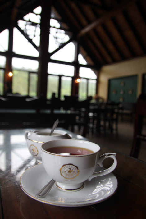 La celebración del té en Nuwara Eliya