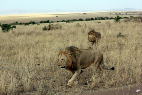 Tanzania