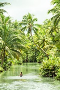 palmerales en siargao
