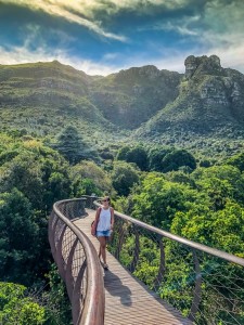 kirstenbosch en Ciudad del Cabo