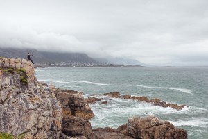 hermanus ballenas