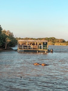 Tour por el estuario de St Lucia