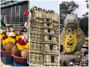 yoga en mysore