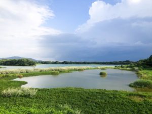 Kukkarahalli Lake mysore